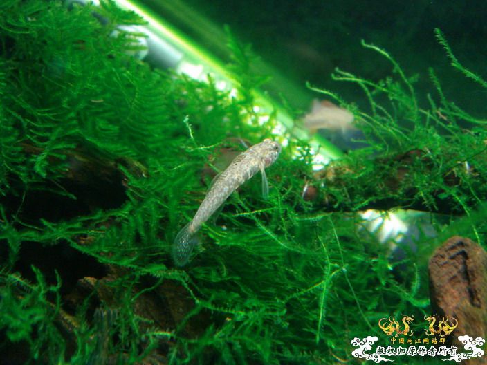 征集帖  征集大家手上的宝贝照片了