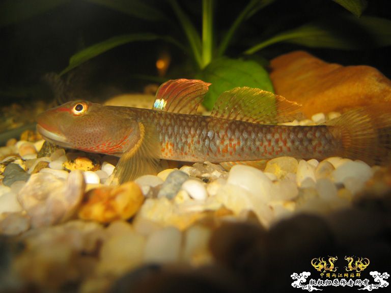 征集帖  征集大家手上的宝贝照片了