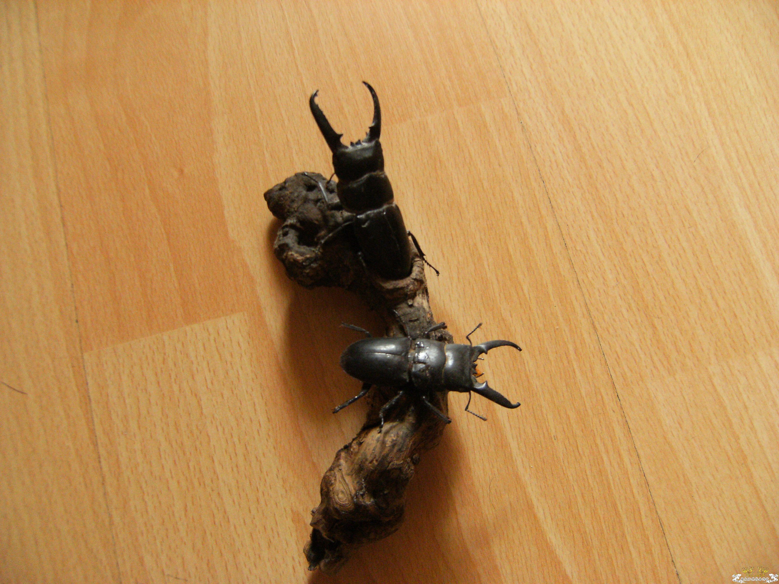 摆个造型，拍照！