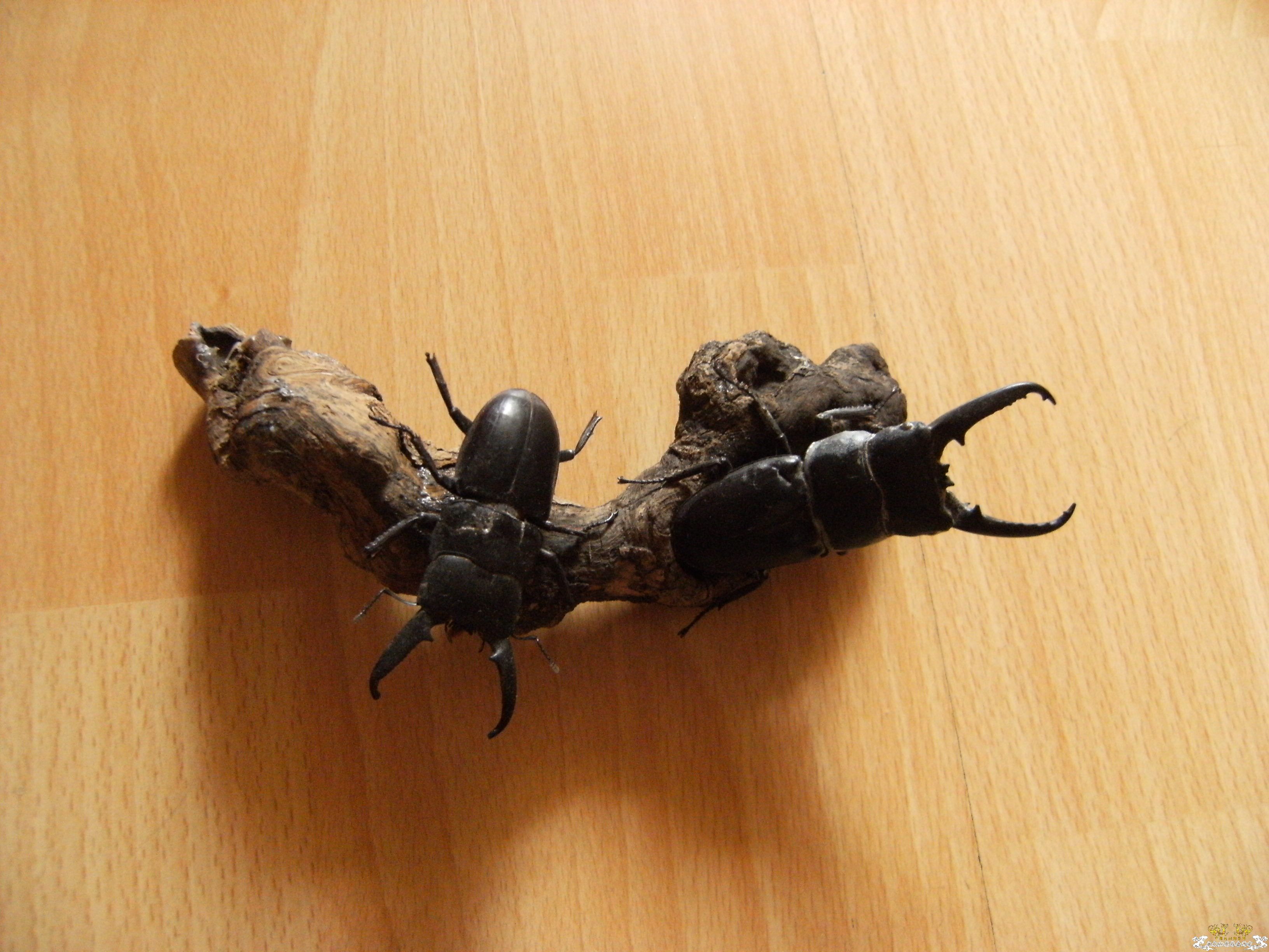 摆个造型，拍照！