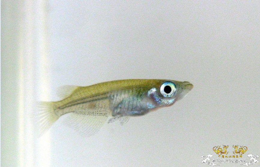 随便上上