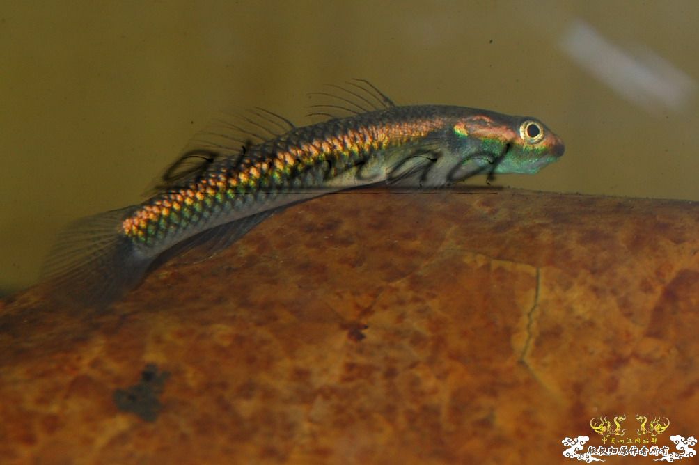 [原创]此帖无名！！