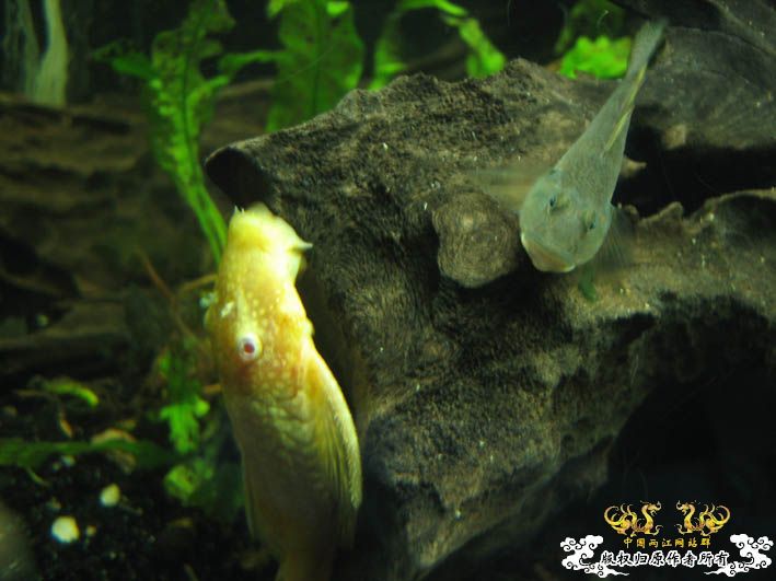 发些【】图。。。