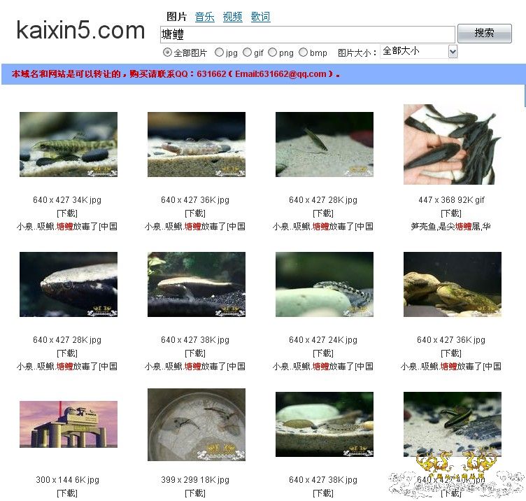 重大发现-盗两江图片的网站