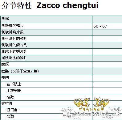 请鉴定是否是成都鱲.