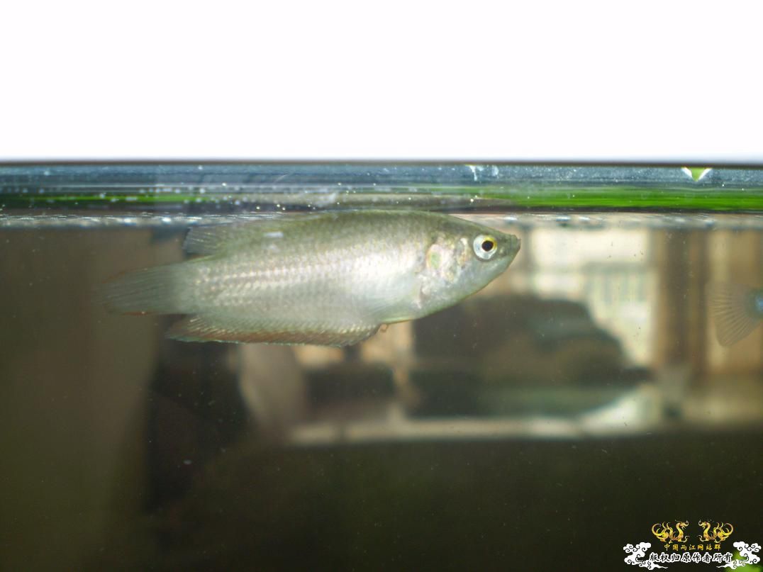 大家帮忙看看斗怎么了