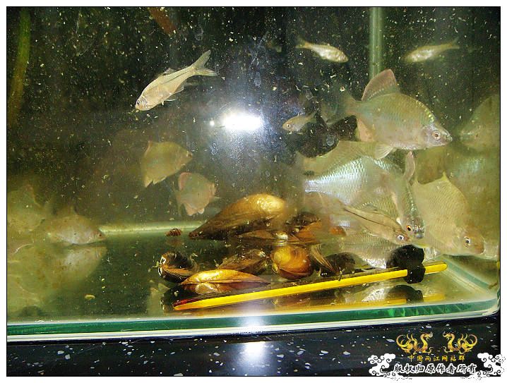 几条旁皮而已..