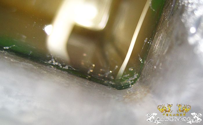 褐吻虾虎产卵啦（更新孵化第五天）