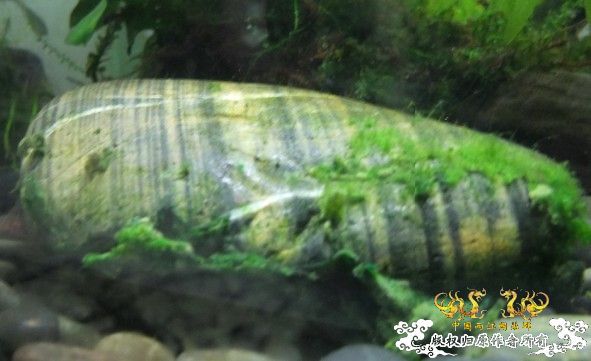 三个小时之后.,........