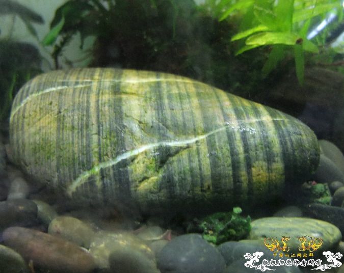 三个小时之后.,........