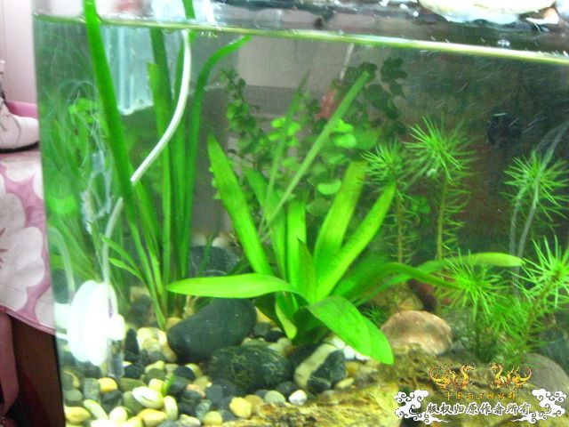 下载] 不要在折腾了