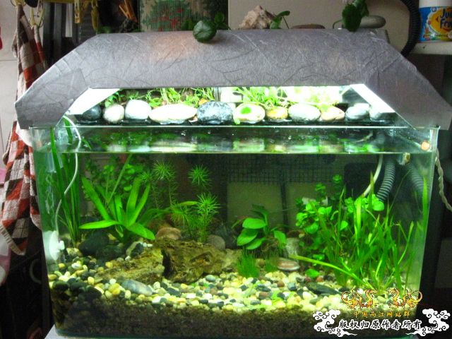 下载] 不要在折腾了