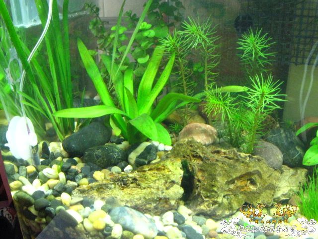 下载] 不要在折腾了