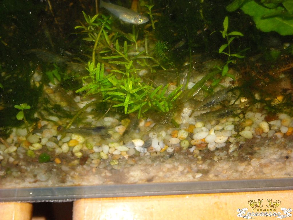 谁帮我数下有多少孕妇，我是数不清了````