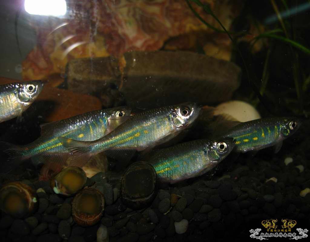 调整大小 照片 252.jpg