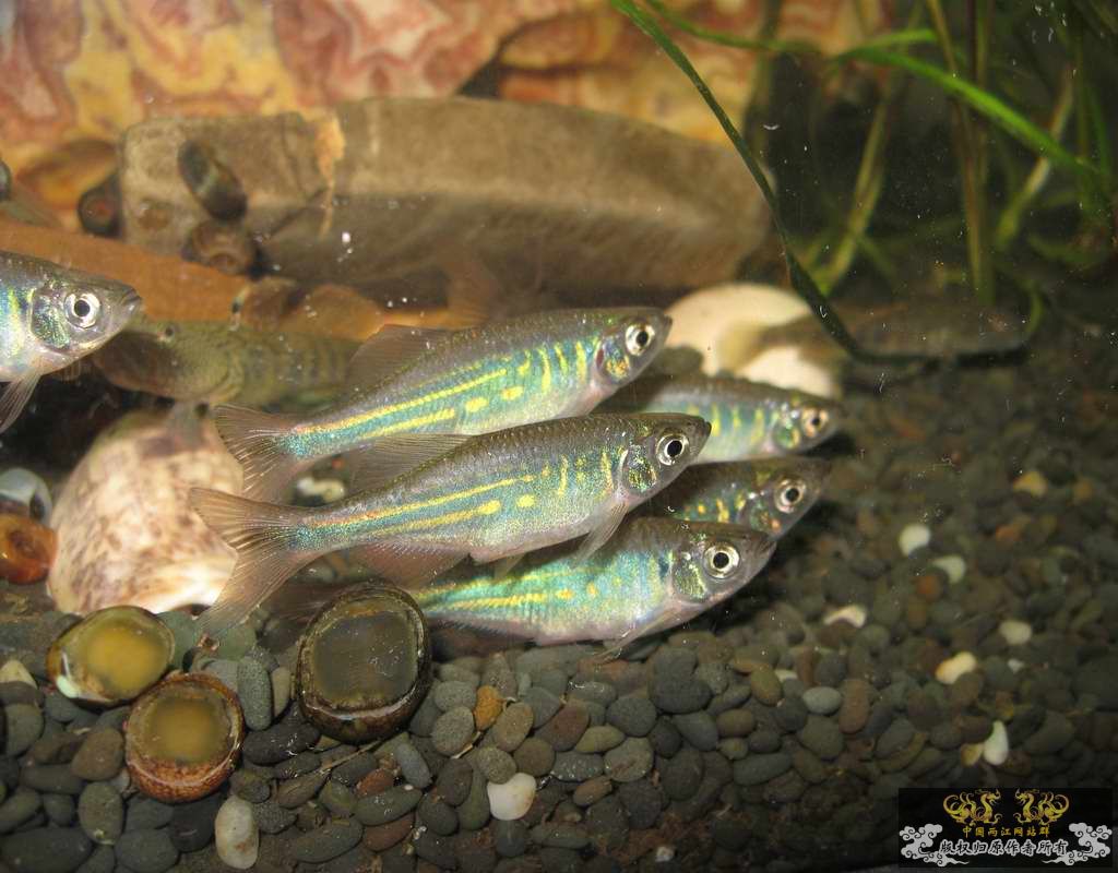 调整大小 照片 260.jpg