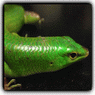 2008812198011618_exposure.gif