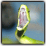 200881217314272566.gif