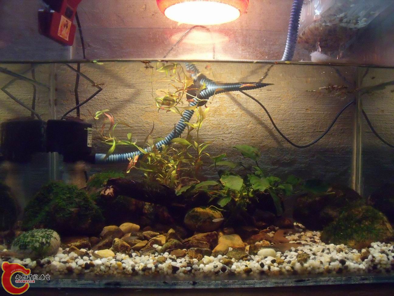 调整大小 DSCF4488.jpg