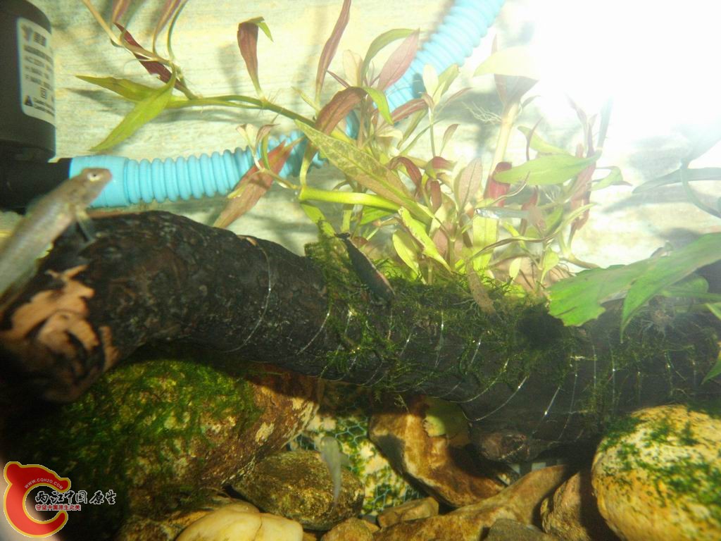 调整大小 DSCF4443.jpg