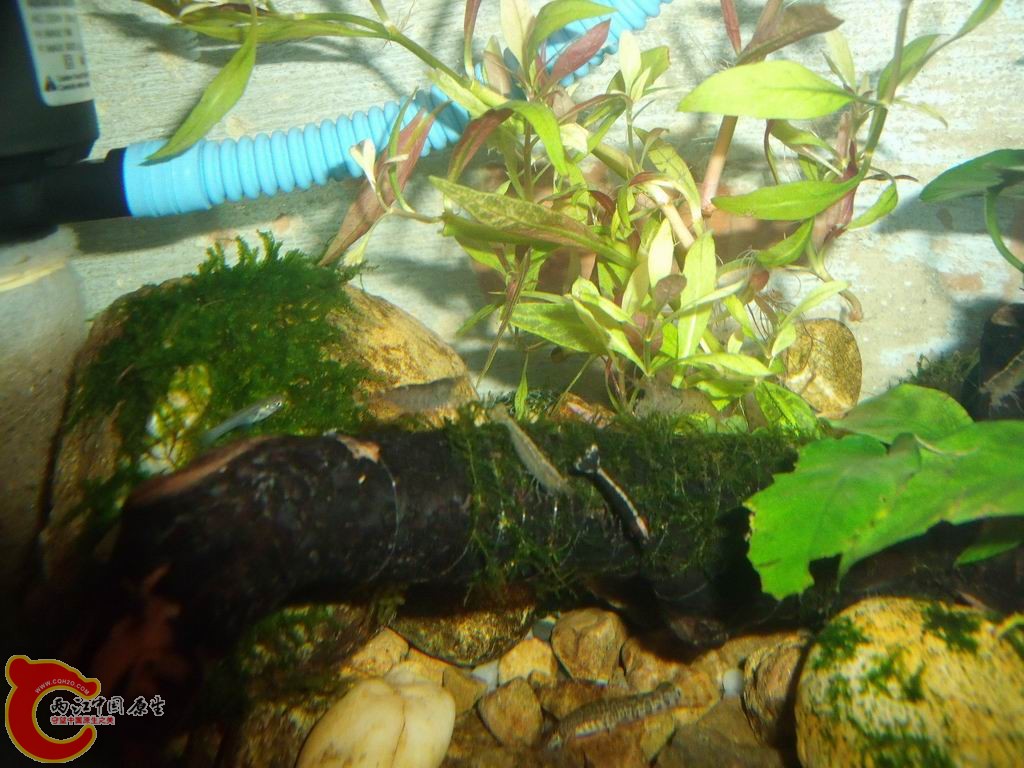 调整大小 DSCF4454.jpg