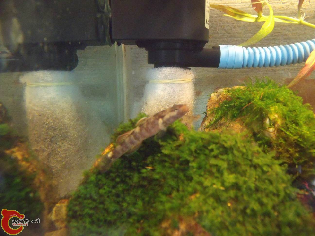 调整大小 DSCF4451.jpg