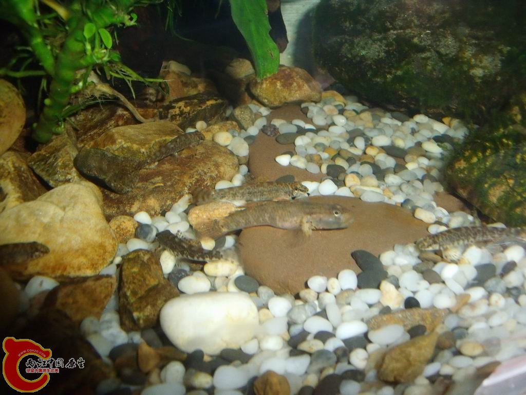 调整大小 DSCF4466.jpg