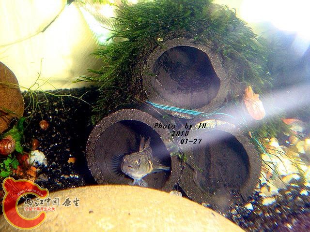 DSC05272_调整大小.jpg