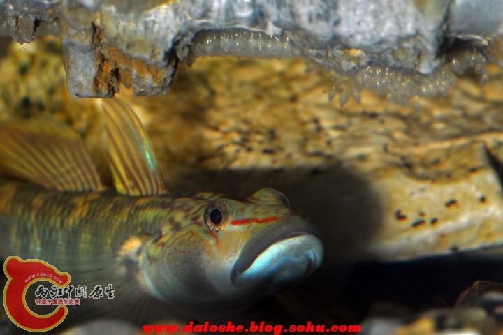 SYG_5163.jpg