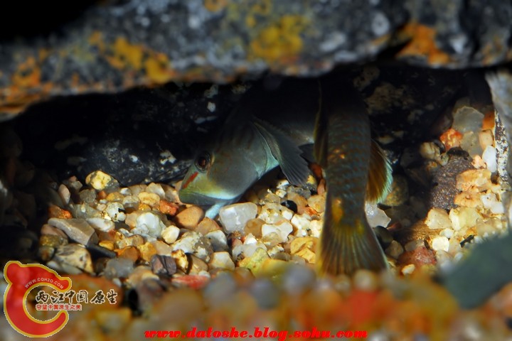 SYG_5143.jpg