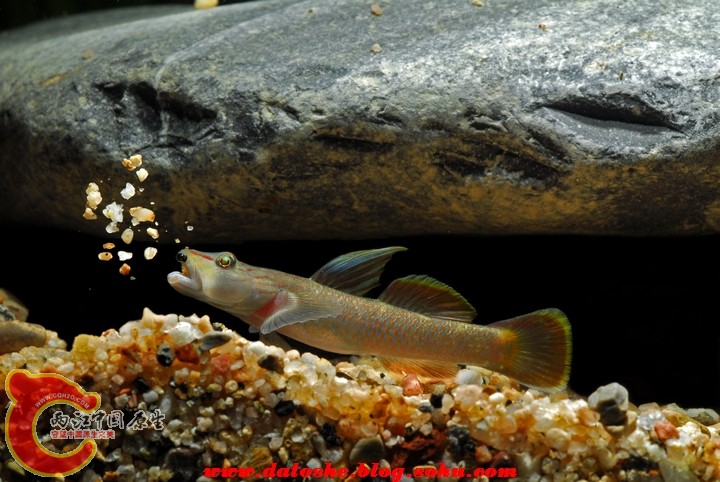 SYG_5094.jpg