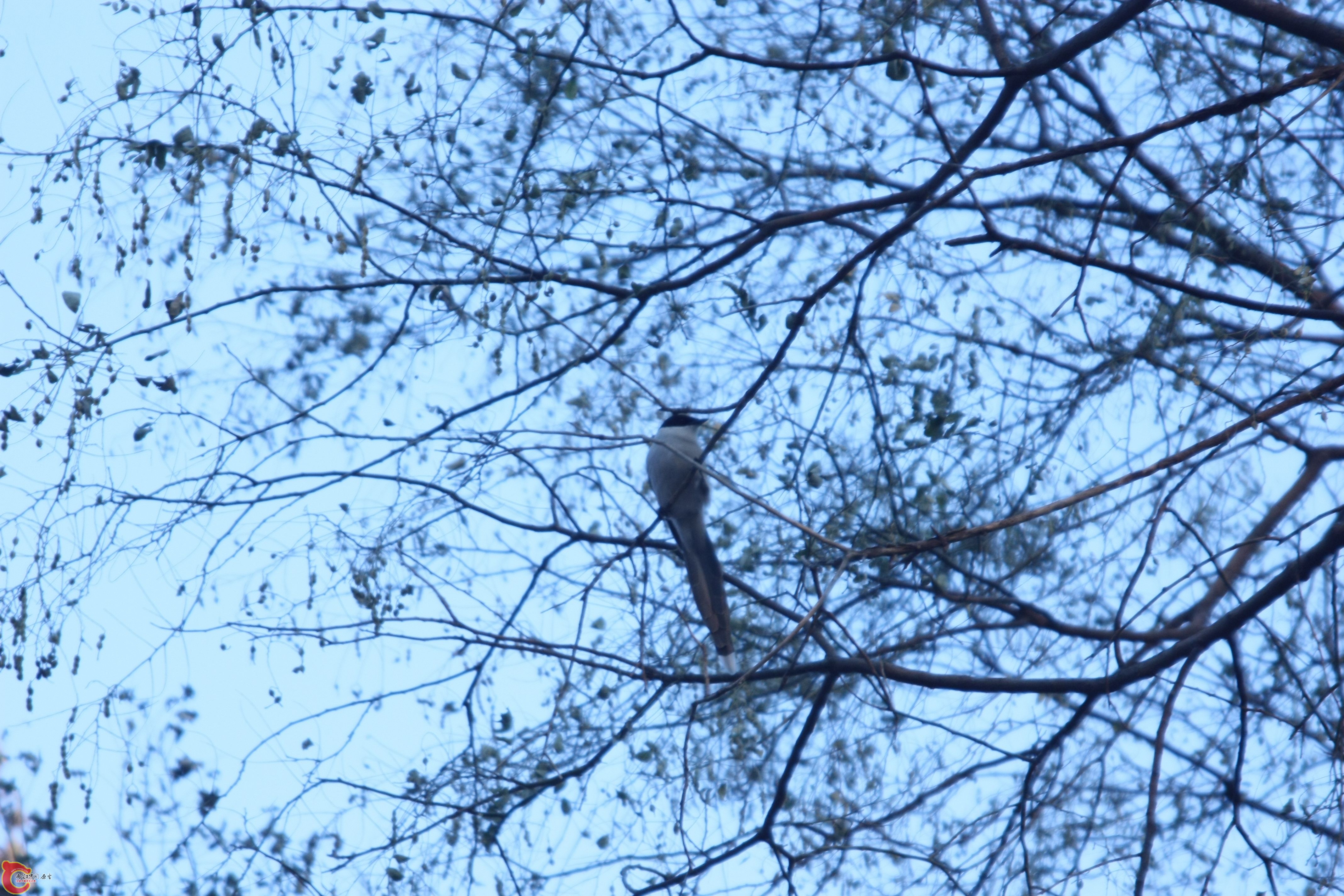 IMG_2506.jpg