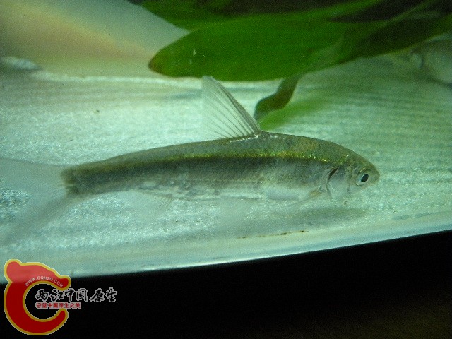 DSCN1222.JPG
