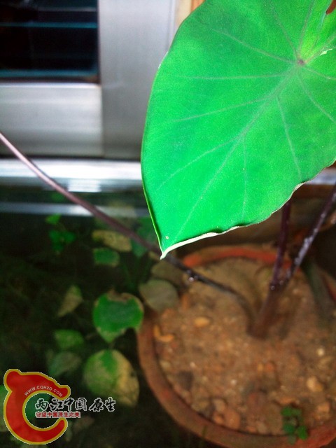 照片0220.jpg