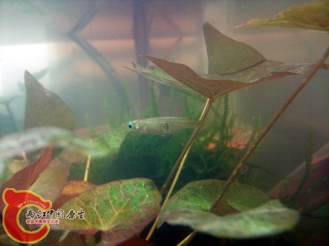 照片0223.jpg