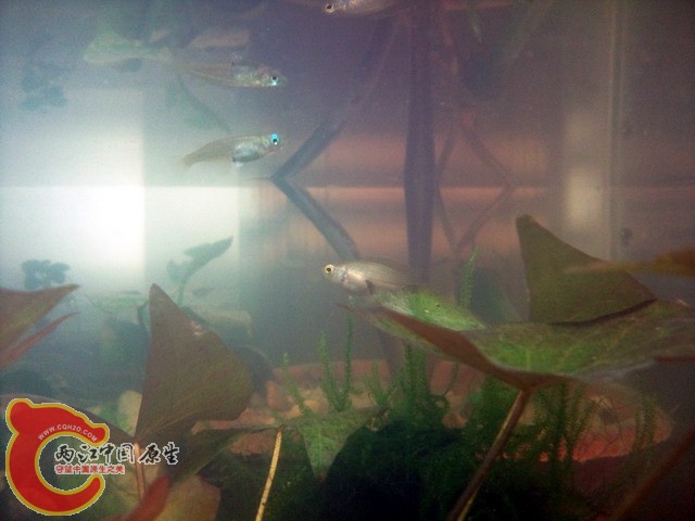 照片0228.jpg