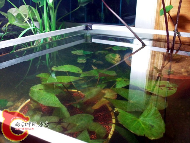 照片0222.jpg
