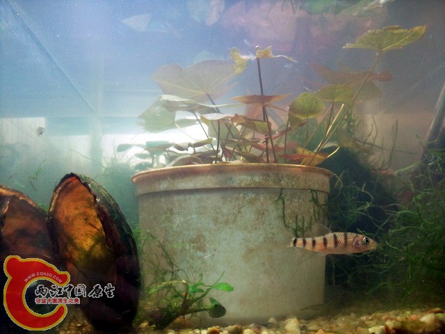 照片0224.jpg