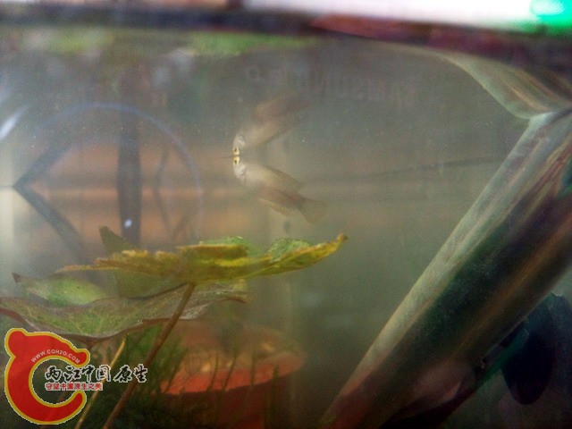照片0227.jpg