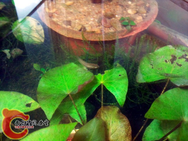 照片0229.jpg