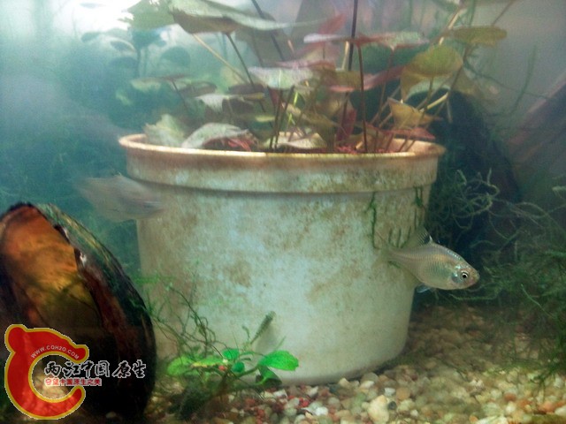 照片0226.jpg