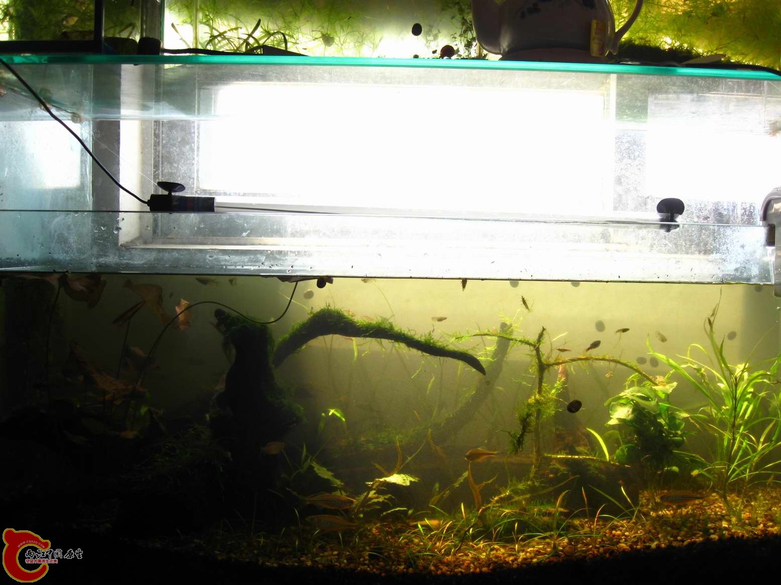 调整大小 照片 417.jpg