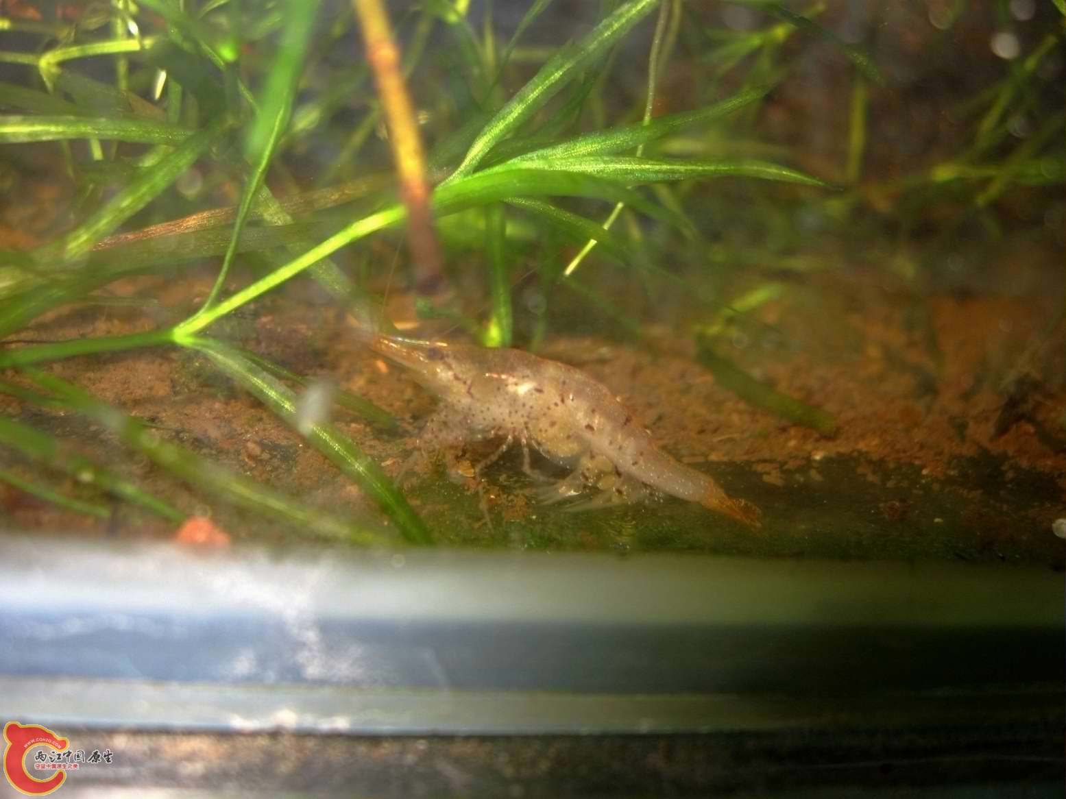 调整大小 照片 273.jpg