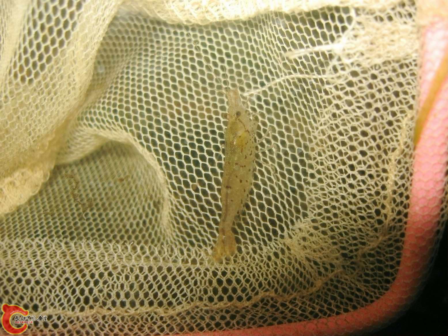 调整大小 照片 281.jpg