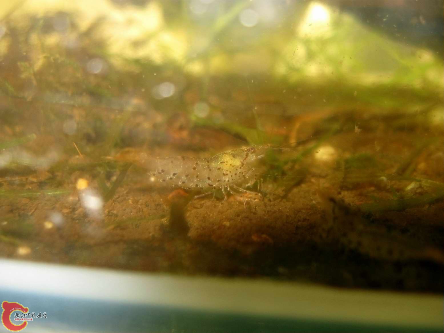 调整大小 照片 325.jpg