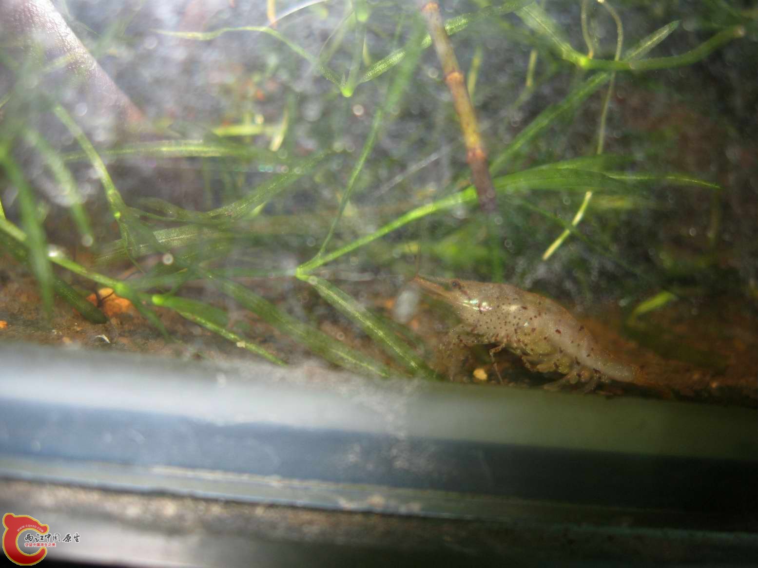 调整大小 照片 274.jpg