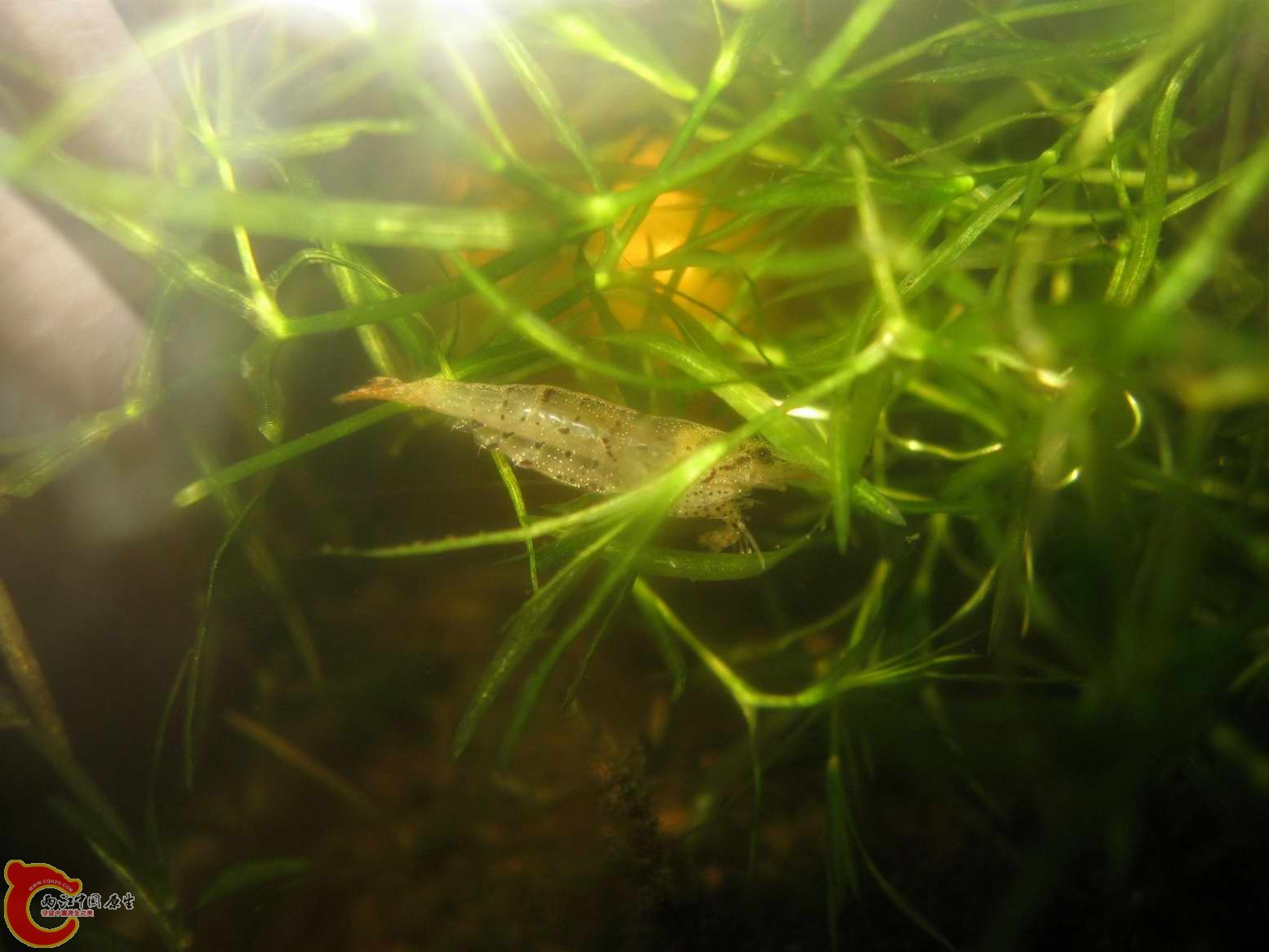 调整大小 照片 275.jpg