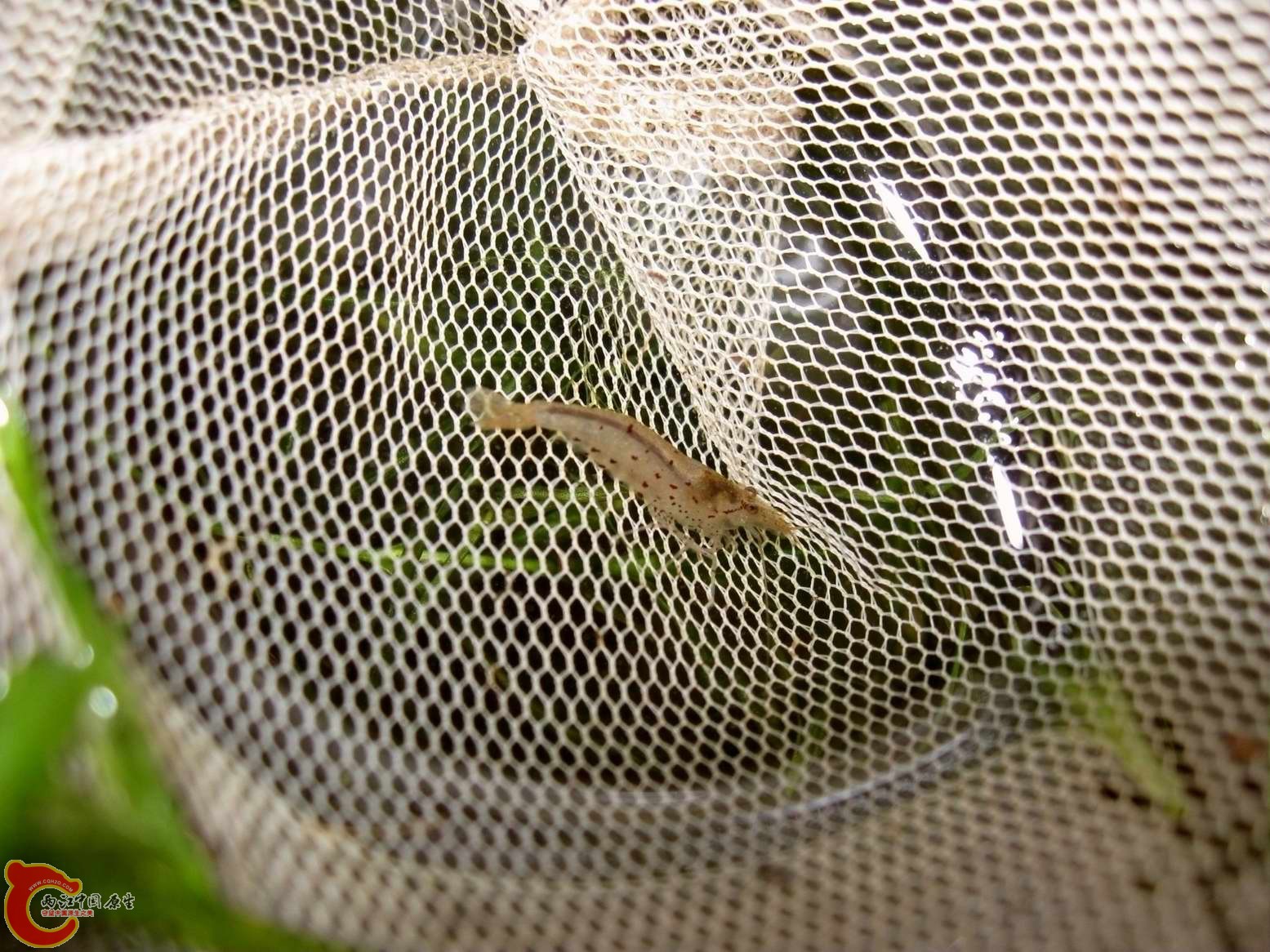 调整大小 照片 247.jpg