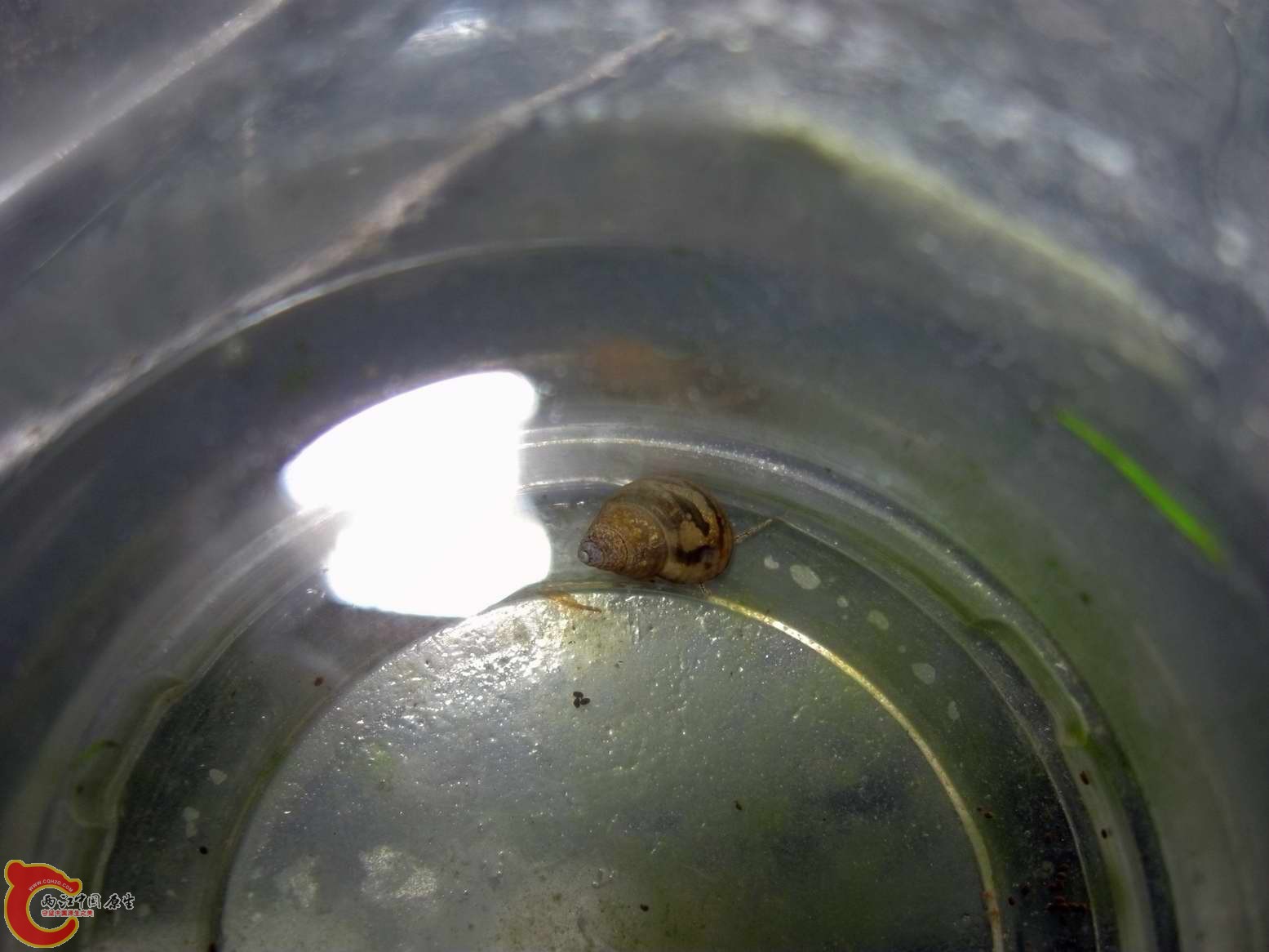 调整大小 照片 344.jpg