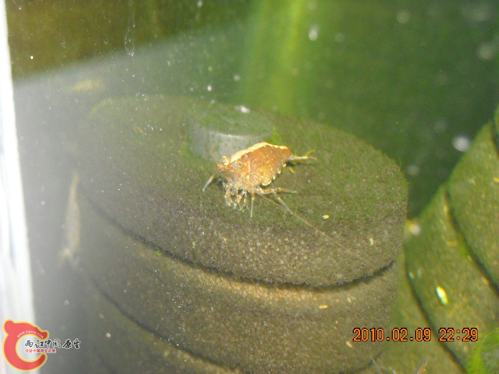 DSCN6233.JPG